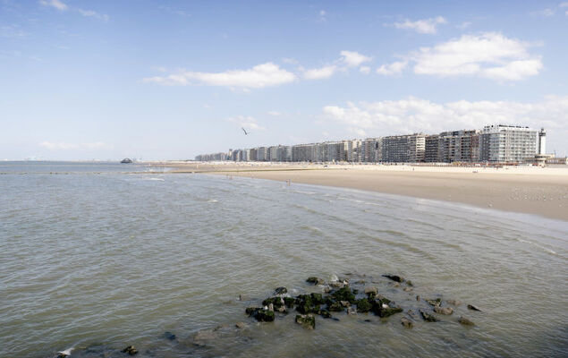 Elyana with balcony - Photo 20
