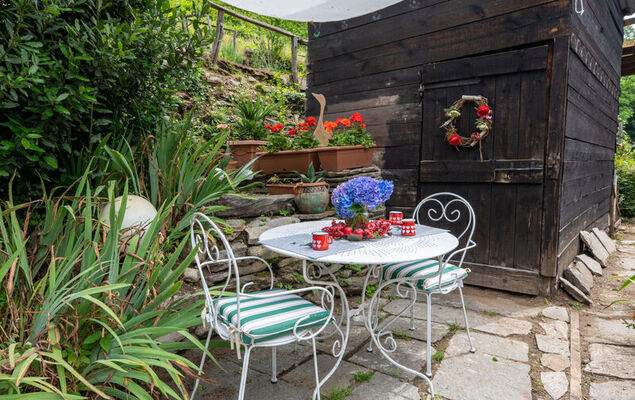 Il Gianlupo Grigio - Photo 2