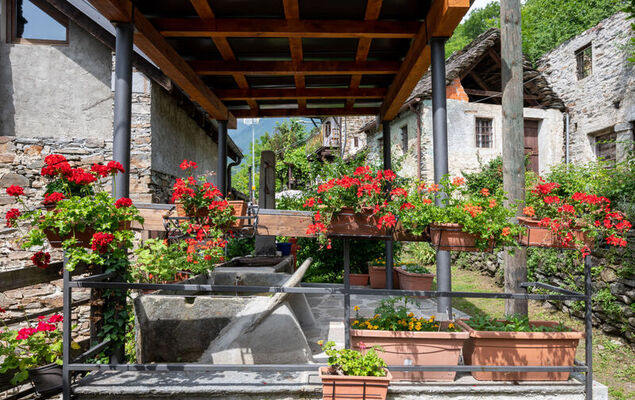 Il Gianlupo Grigio - Photo 27