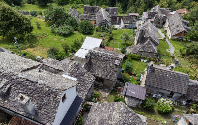 Il Gianlupo Grigio - Photo 28