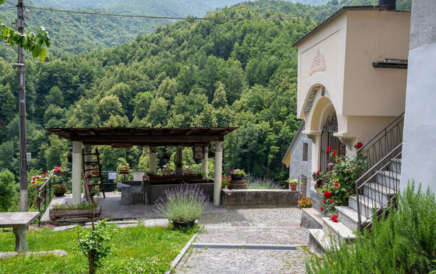 Il Gianlupo Grigio - Photo 29