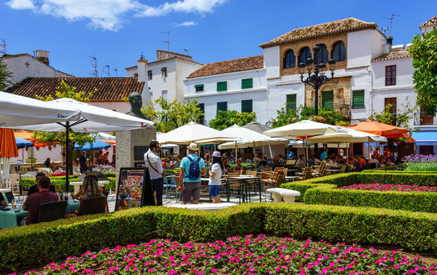 Las Terrazas - Photo 30