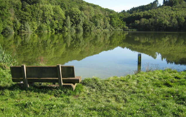 Eifelnatur (Haus 2) - Photo 54