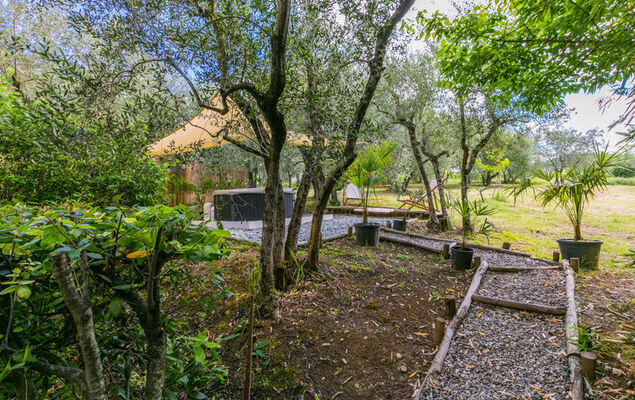 Villa il Giglio - Photo 66