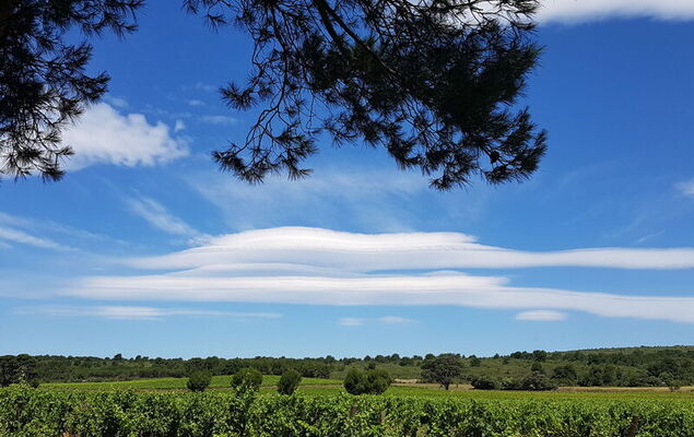 Les Grandes Bleues 2 - Photo 29