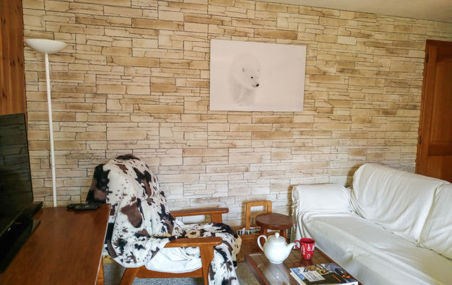 Parc du Mont Joly - Photo 9